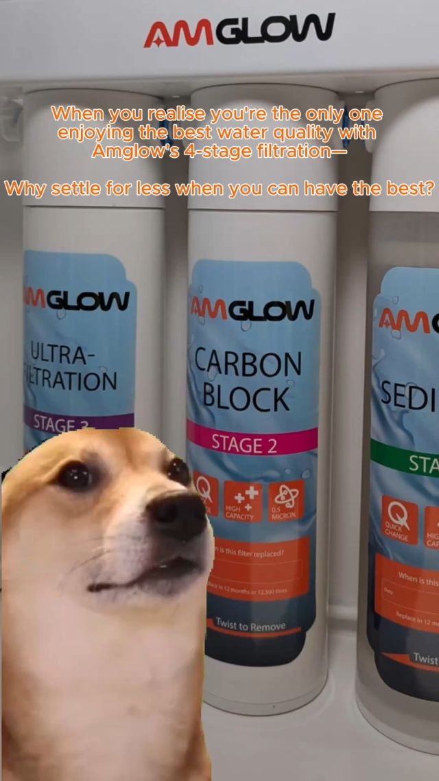 🎷🐕 When clean water hits all the right notes… 🎶

Say hello to Amglow’s 4-Stage Filtration System—the ultimate sax-worthy water solution! 💧✨

🎵 Compact design for under-sink magic
🎵 Twist-lock filters = quick replacements, no mess
🎵 Direct water source = unlimited clean water
🎵 Removes up to 99% of harmful contaminants like lead, chlorine, mercury, and more

No electricity, no hassle, just pure hydration perfection! Affordable, sleek, and BPA-free, it’s the water system that truly rocks. 🎷💧

Our showroom will be closed this weekend, but you can catch us at 𝗠𝗮𝗿𝗶𝗻𝗮 𝗦𝗾𝘂𝗮𝗿𝗲 𝗔𝘁𝗿𝗶𝘂𝗺 instead!
📍6 Raffles Blvd, Singapore 039594
 Sat & Sun: 10AM - 10PM

#AmGlow #Roomie #Lounge #Contour7flo #Contour7 #Contour7max
#SimplifyLiving #ModernLiving #HomeInnovation #TimelessDesign #TempPlus #Flagship #Showroom
